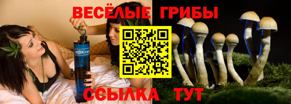 Галлюциногенные грибы Cubensis  Псилоцибиновые грибы MAGIC MUSHROOMS  Чистополь  купить  цена  Вход с VPN 